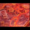 thumbnail Cuddly Painting - Energy Oil Paintings - eop -
