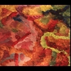 thumbnail Love Birds 3 Painting - Energy Oil Paintings - eop -